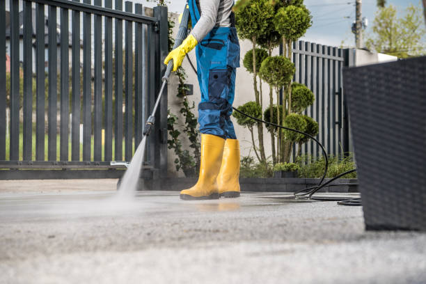 Best Exterior Home Cleaning  in Shrub Oak, NY